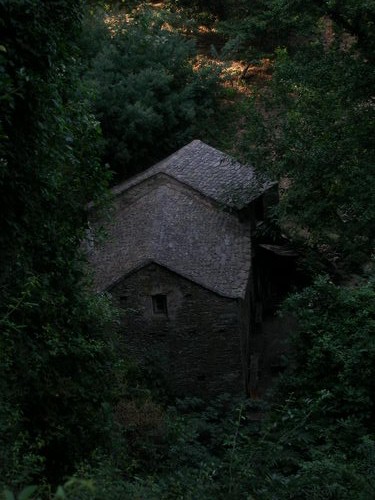 Chêne liège Cagnano