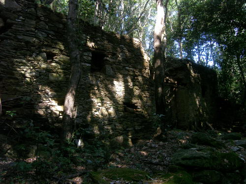 chene liège cagnano